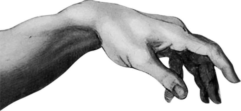Goncalo human hand